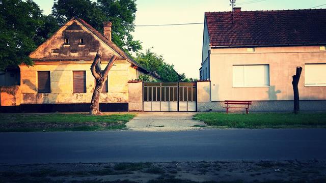 Village street (Vojvodina)